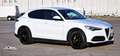 Alfa Romeo Stelvio Stelvio 2020 2.2 t Executive Q4 190cv auto Bianco - thumbnail 11