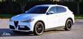 Alfa Romeo Stelvio Stelvio 2020 2.2 t Executive Q4 190cv auto Bianco - thumbnail 4