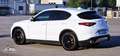 Alfa Romeo Stelvio Stelvio 2020 2.2 t Executive Q4 190cv auto Bianco - thumbnail 2