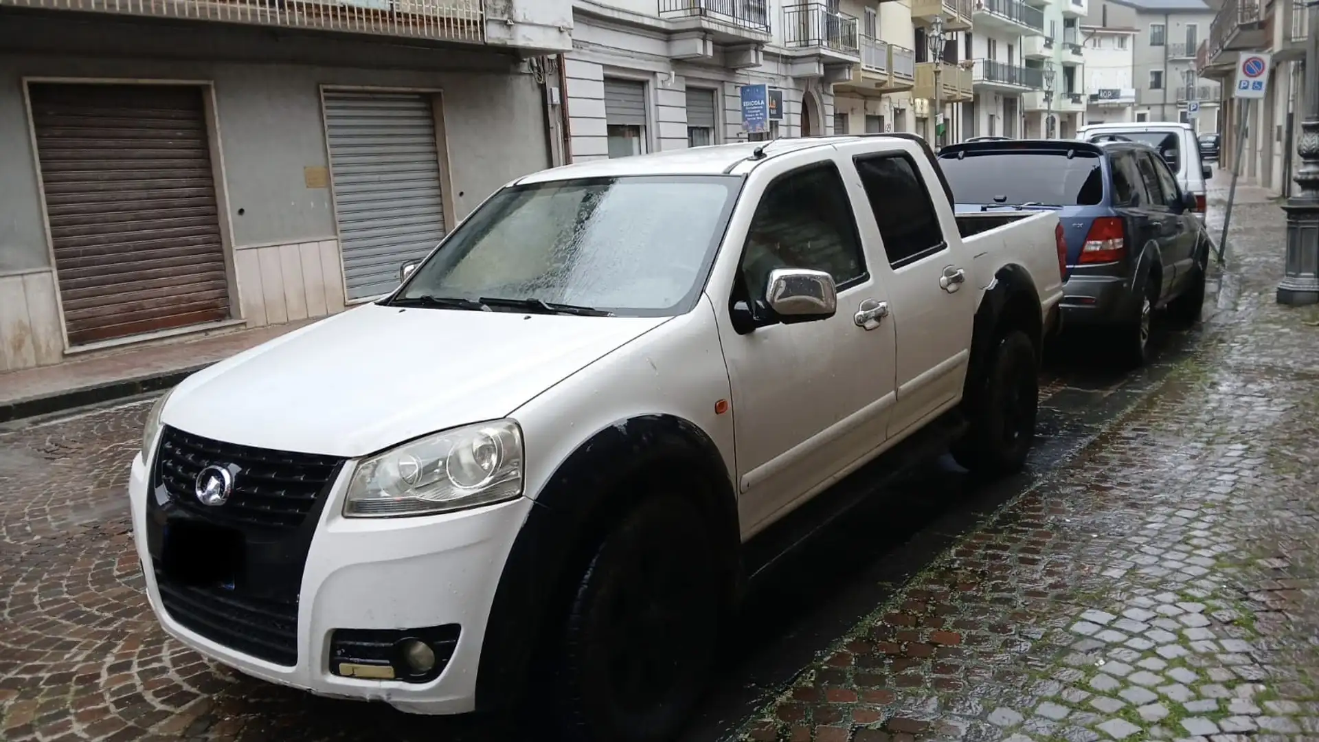 Great Wall Steed 2.0 tdi DC Super Luxury 4x4 - 1