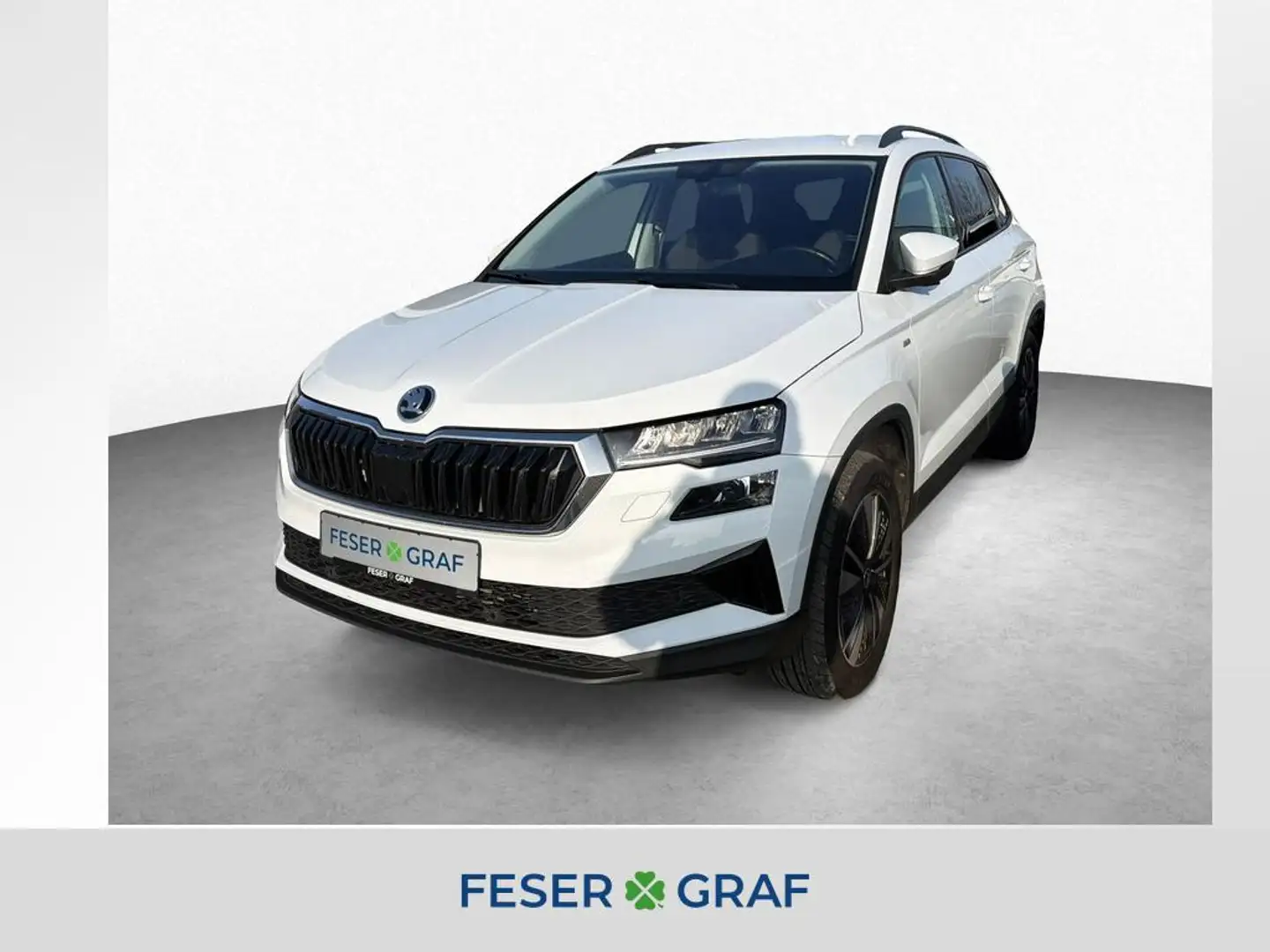 Skoda Karoq Tour 2.0TDI*DSG*4x4*AHK*4xSHZ*BehWSS*NAVI* Weiß - 1