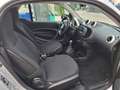 smart forTwo Fortwo III 2015 1.0 Urban (sport edition1) 71cv Bianco - thumbnail 7