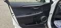 Lexus NX 300 300h Business Navigation 2WD Alb - thumbnail 13