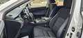 Lexus NX 300 300h Business Navigation 2WD Fehér - thumbnail 15