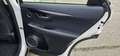 Lexus NX 300 300h Business Navigation 2WD White - thumbnail 23