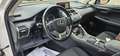 Lexus NX 300 300h Business Navigation 2WD Fehér - thumbnail 14