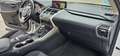 Lexus NX 300 300h Business Navigation 2WD Fehér - thumbnail 25