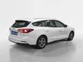 Ford Focus Turnier 1,0 EcoBoost Hybrid Titanium Weiß - thumbnail 14