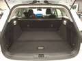 Ford Focus Turnier 1,0 EcoBoost Hybrid Titanium Weiß - thumbnail 12