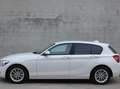 BMW 116 BMW 116i/Xenon/Multistuur/scherm Blanco - thumbnail 3