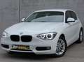 BMW 116 BMW 116i/Xenon/Multistuur/scherm Blanco - thumbnail 2