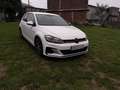 Volkswagen Golf GTI 2.0 TSI 169kW Blanco - thumbnail 10