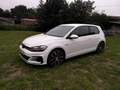 Volkswagen Golf GTI 2.0 TSI 169kW Blanco - thumbnail 1