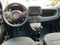 Fiat Panda Panda 1.0 firefly hybrid s Blu/Azzurro - thumbnail 7