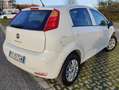 Fiat Punto Punto 5p 1.4 natural power Lounge 70cv E6 Bianco - thumbnail 4