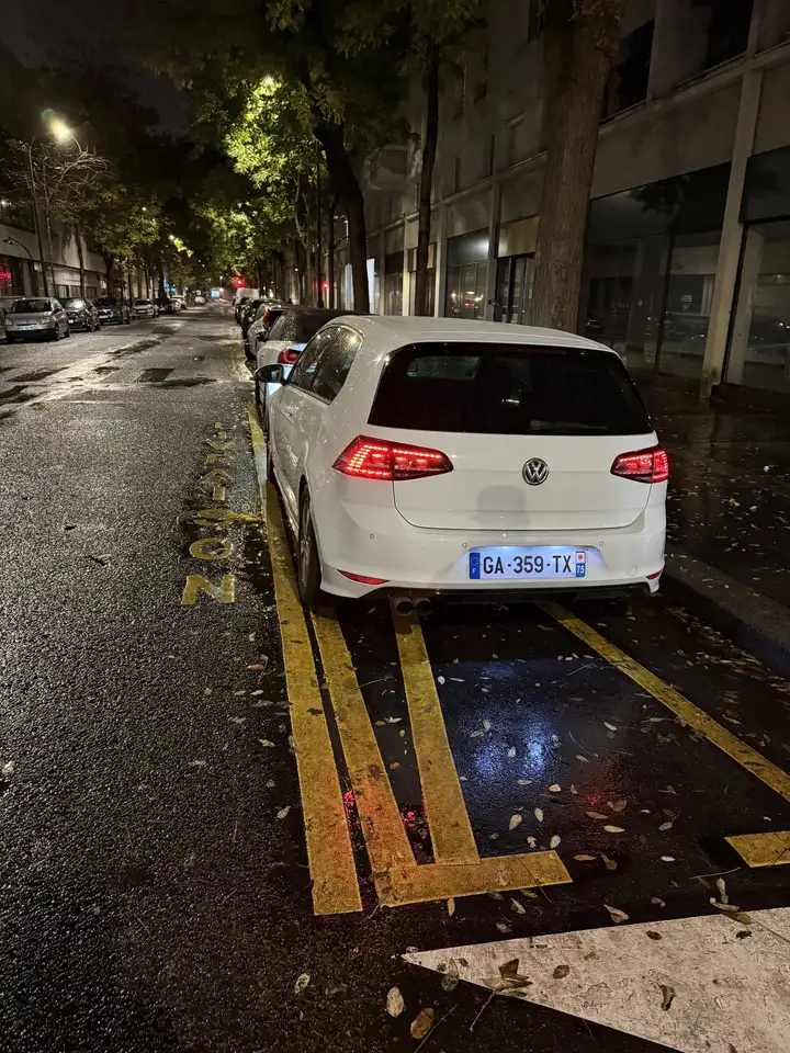 Volkswagen Golf Standard Model — photo 6