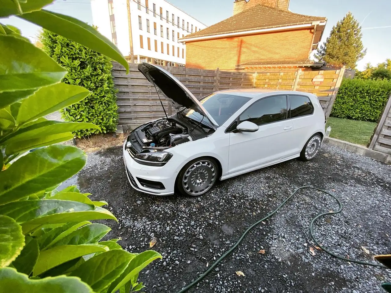 Volkswagen Golf Standard Model — photo 8