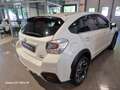 Subaru XV XV I 2.0d STYLE 6mt my17 4X4 Bianco - thumbnail 14