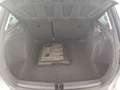 SEAT Ibiza IV ST 1.6 tdi cr Style Grigio - thumbnail 18