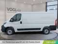 Fiat Fiat DUCATO KW L2H1 3.0T Diesel 120 Manuell Weiß - thumbnail 2
