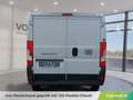 Fiat Fiat DUCATO KW L2H1 3.0T Diesel 120 Manuell Weiß - thumbnail 7
