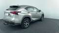 Lexus NX 300h 197Pk AWD F Sport Line Gris - thumbnail 6