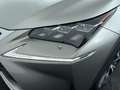 Lexus NX 300h 197Pk AWD F Sport Line Gris - thumbnail 10
