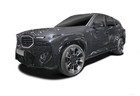BMW XM-Reihe Hybrid (G09)