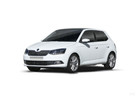 Skoda Fabia Kurzheck (NJ)