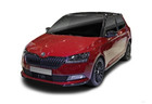 Skoda Fabia Kurzheck (NJ)